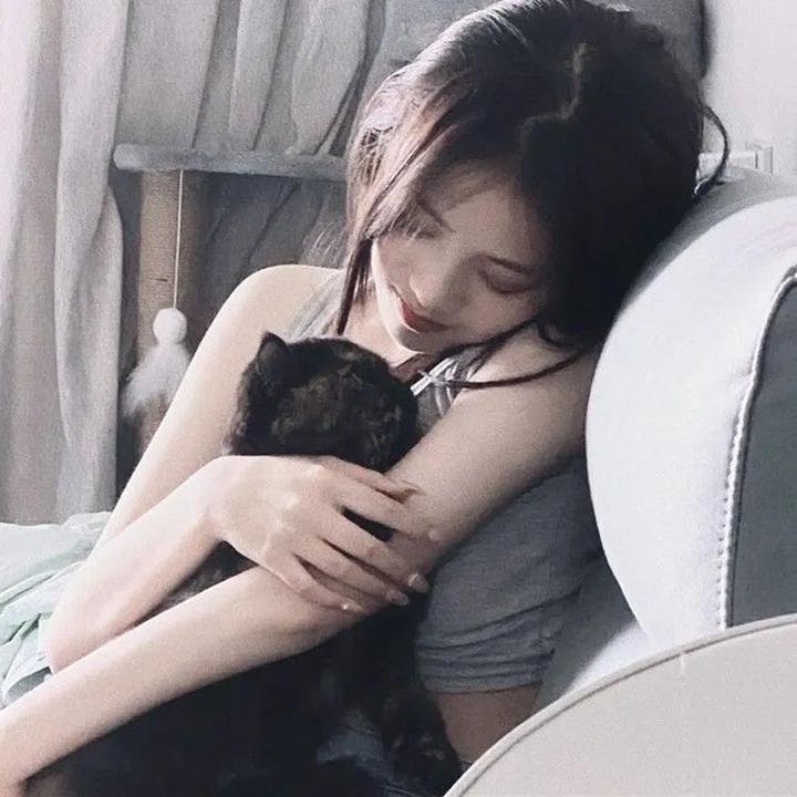 盗贼泰瑞莎